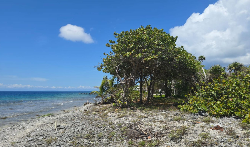 Listing ID: URE0723, Big Rock Utila, Bay Islands, HN - Big Rock oceanfront front and back Lot , Photo #