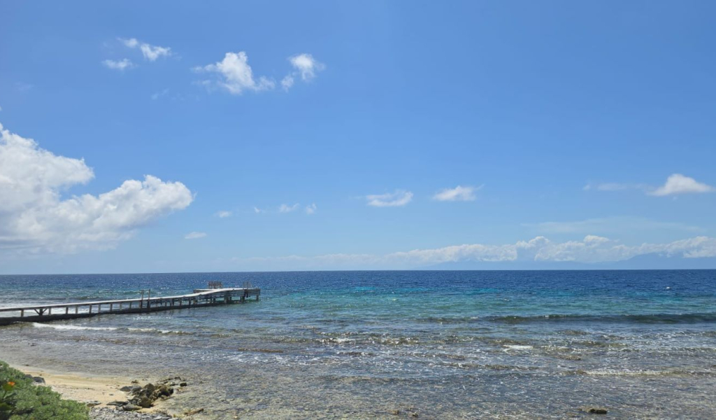 Listing ID: URE0723, Big Rock Utila, Bay Islands, HN - Big Rock oceanfront front and back Lot , Photo #