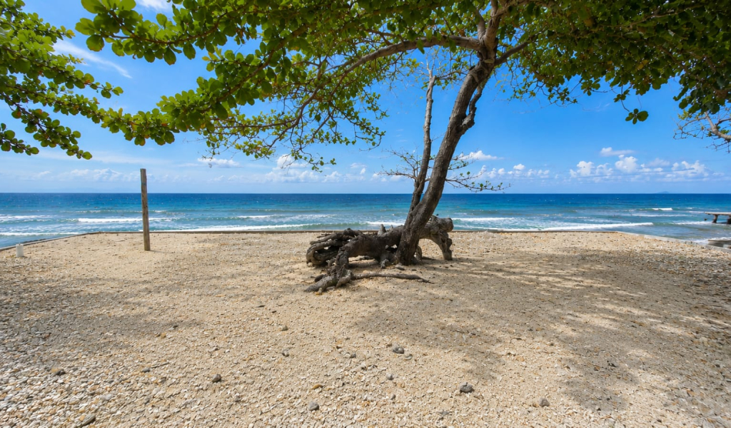 Listing ID: URE0725, Joshoa Point Utila, Bay Islands, HN - Deja Blue, Photo #