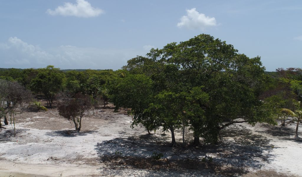 Listing ID: URE0726, Davids Beach Utila, Bay Islands, HN - Sunset Shore, Lot 20, Photo #