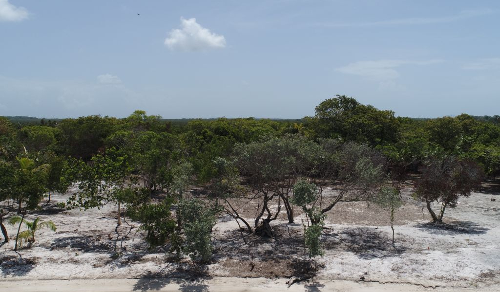 Lot Sale pending - Utila, Bay Islands - Listing ID: URE0726 - Photo
