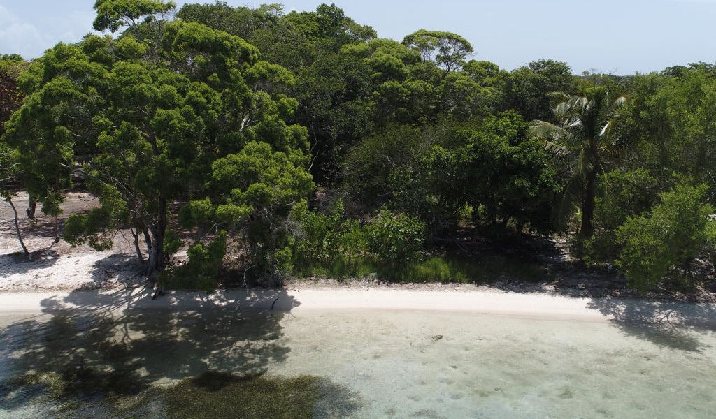 Listing ID: URE0727, Davids Beach Utila, Bay Islands, HN - Sunset Shore, Lot 21, Photo #