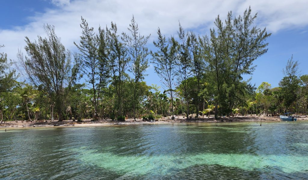 Listing ID: URE0727, Davids Beach Utila, Bay Islands, HN - Sunset Shore, Lot 21, Photo #