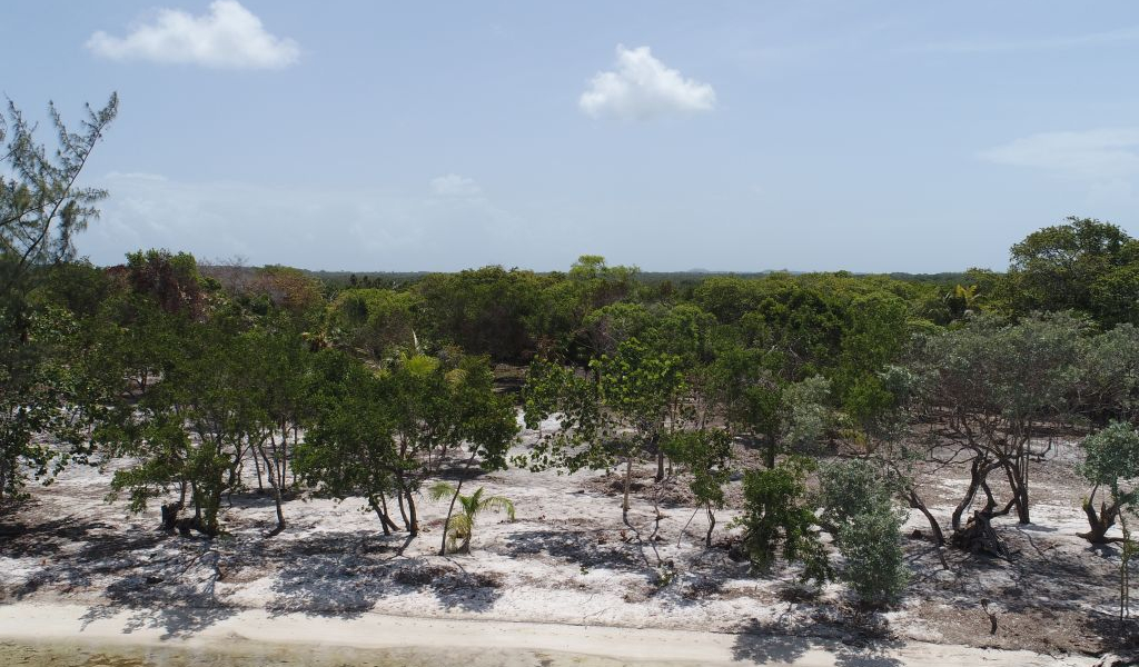 Listing ID: URE0727, Davids Beach Utila, Bay Islands, HN - Sunset Shore, Lot 21, Photo #