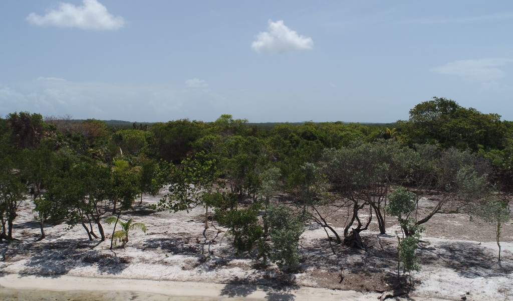 Listing ID: URE0727, Davids Beach Utila, Bay Islands, HN - Sunset Shore, Lot 21, Photo #